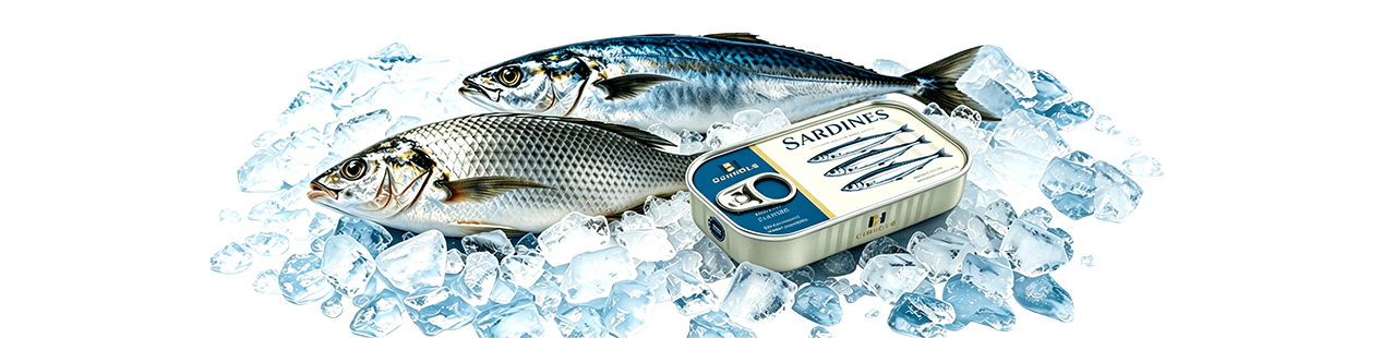 Exportateur d'usine de fruits de mer surgelés en vrac et de poisson en conserve