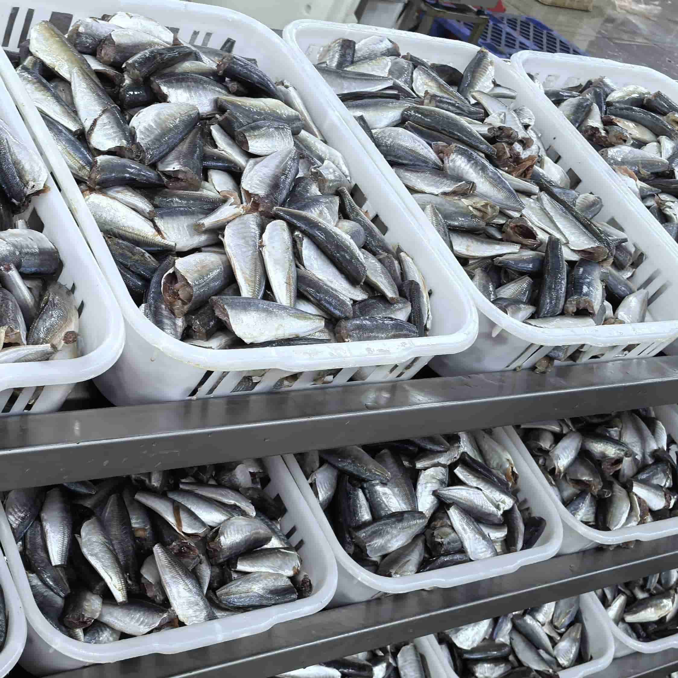 OEM brand canned sardine production line 2 OEM brand canned sardine production line 2