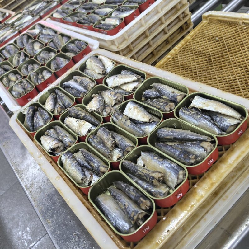 Canning production line