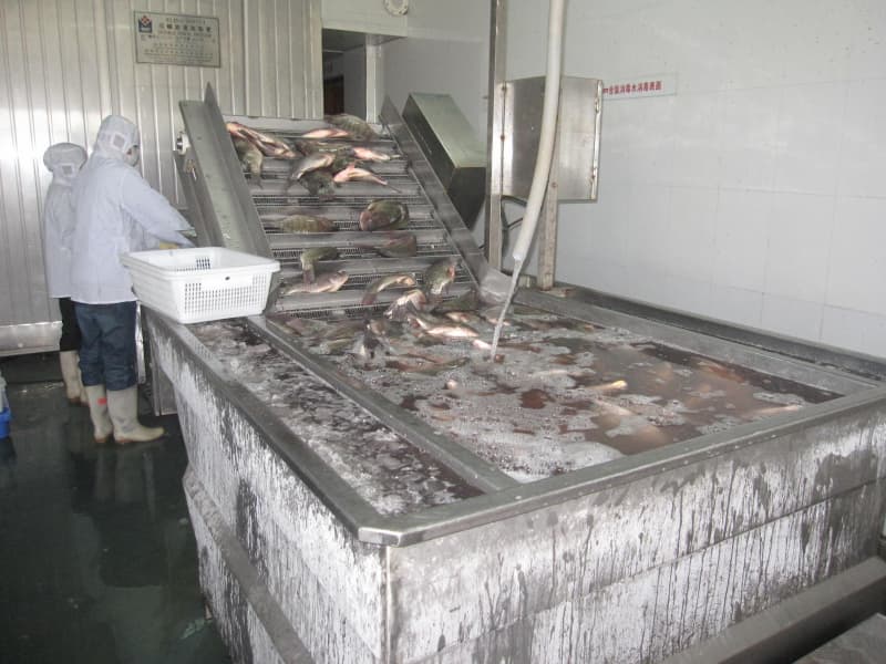 OEM brand canned sardine production line 1 OEM brand canned sardine production line 1