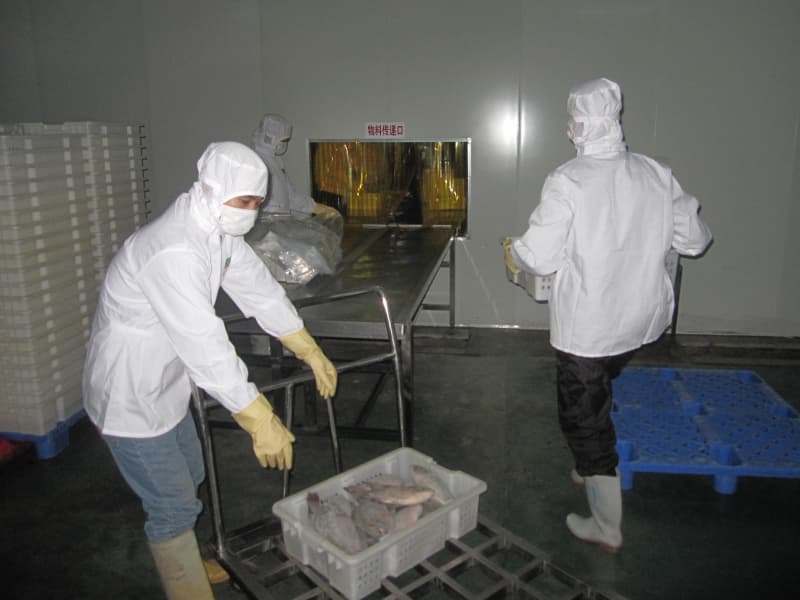 OEM brand canned sardine production line 5 OEM brand canned sardine production line 5