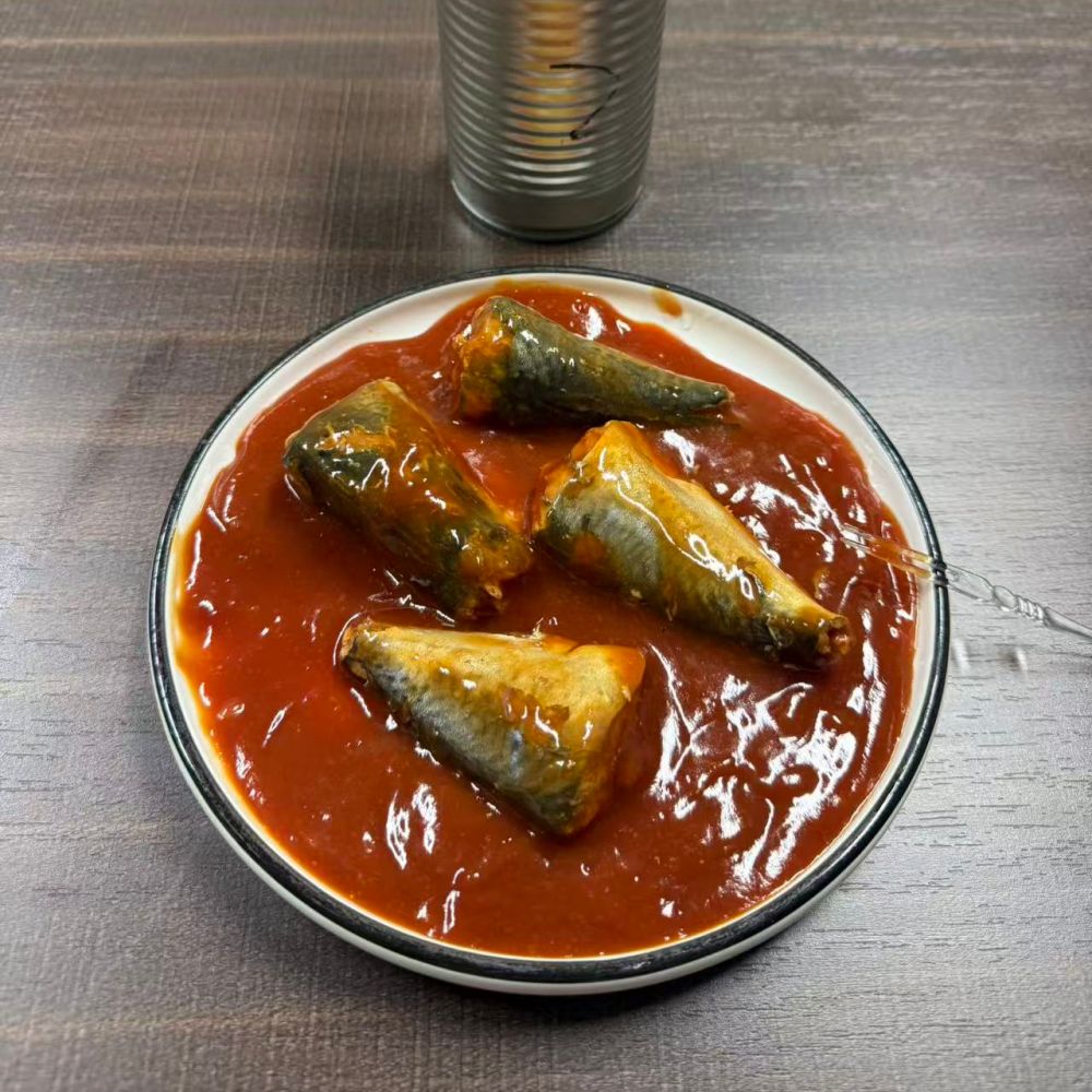 Wholesale Canned Mackerel in Tomato Sauce