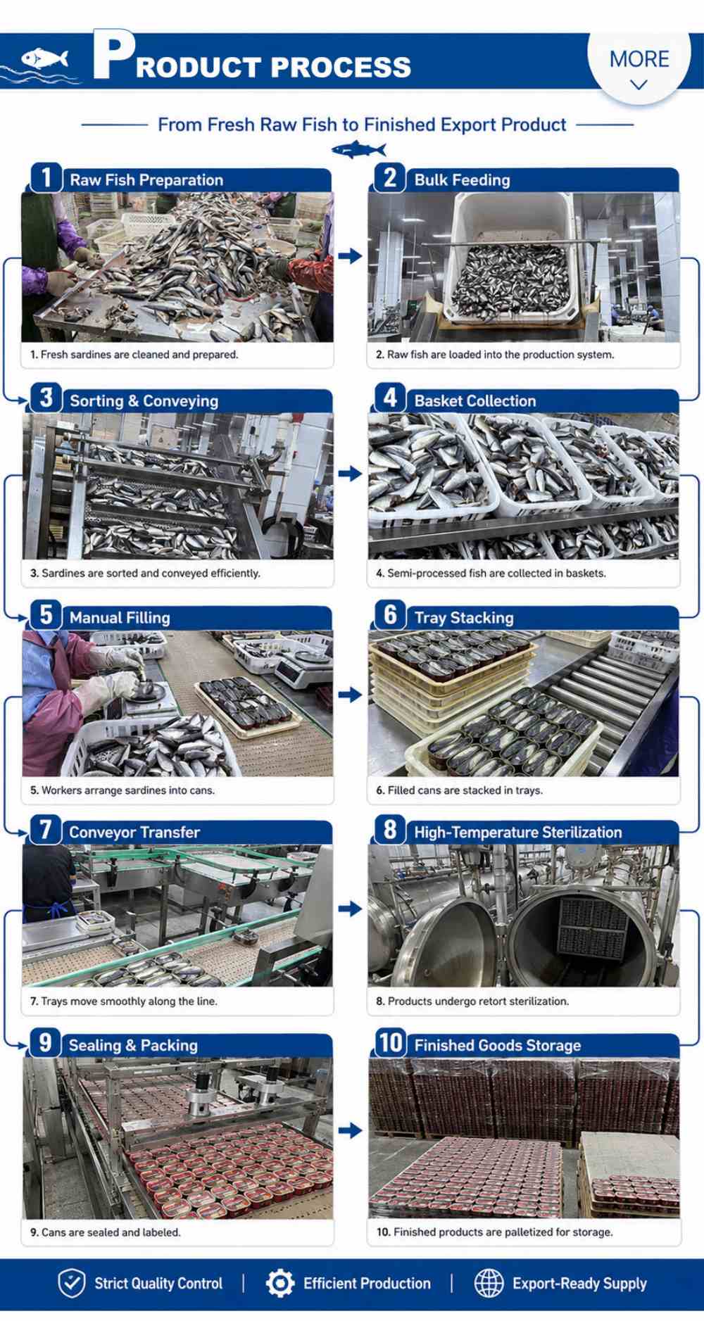 Canned Mackerel Production Line